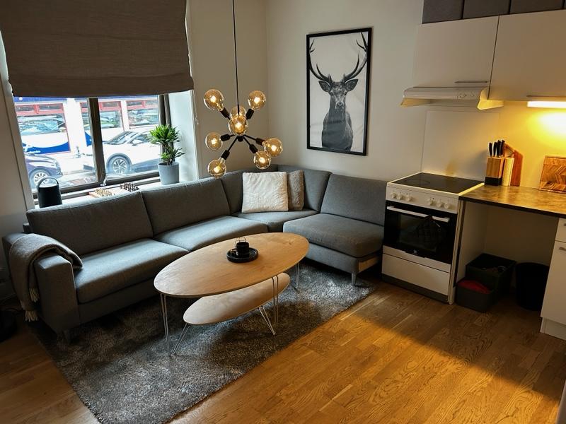 Stue og kjøkken med vindu ut til gaten